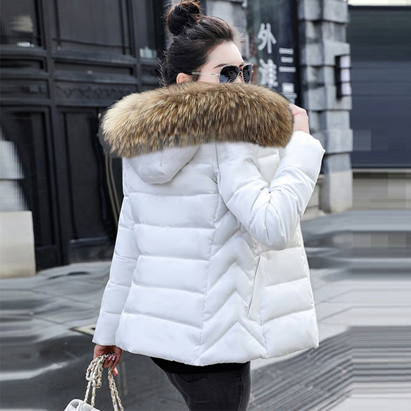 Casaco Feminino de Outono com  - Winter Clothing Online avaliação e preço