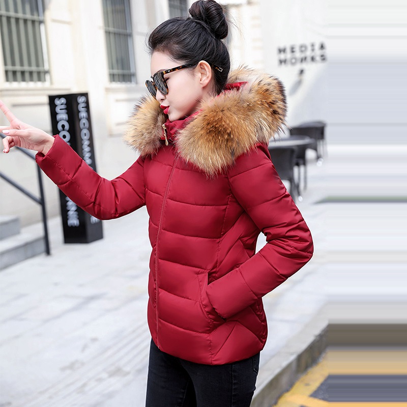 Casaco Feminino de Outono com  - Winter Clothing Online avaliação e preço