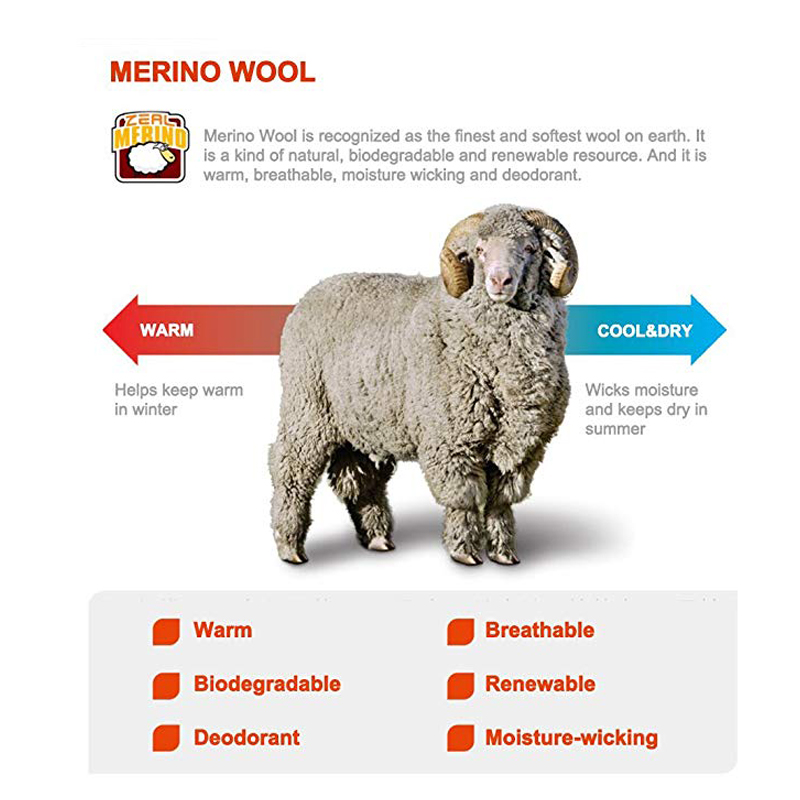 Zealwood caminhadas trekking m - Thermal Sock Merino avaliação e preço